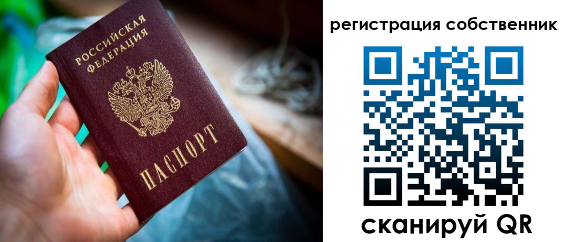 прописка гарантия в Арсеньеве